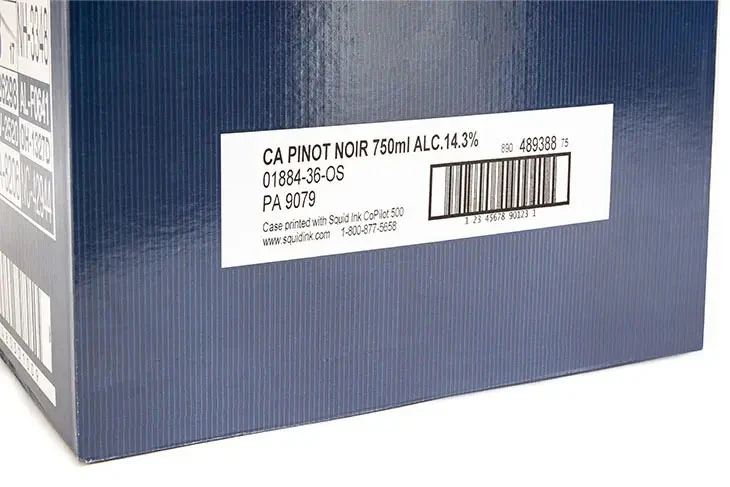 Banda transportadoras planas