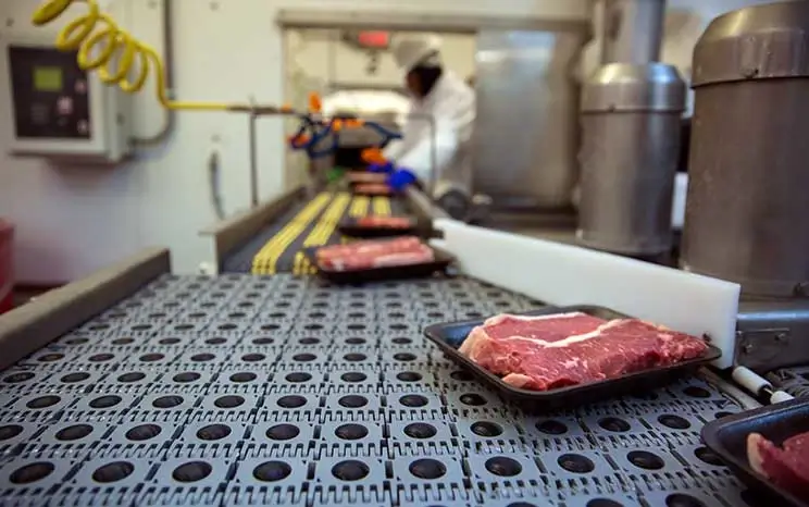 Banda transportadoras planas