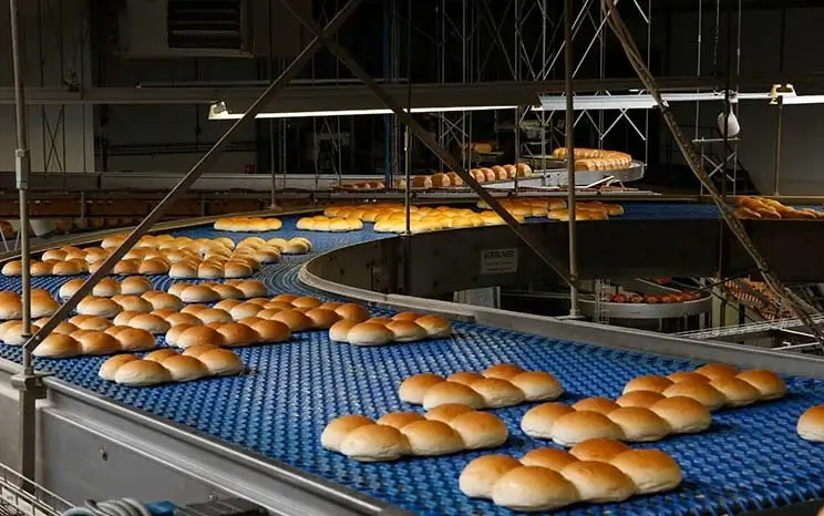 Banda transportadoras planas